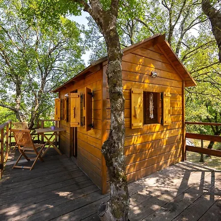 Pet Friendly In * Krstatice